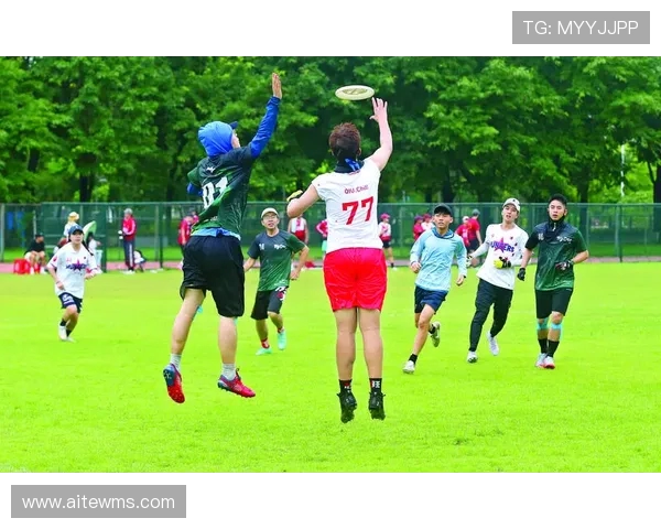 飞盘耐力排行榜新鲜出炉北京飞盘队稳居第一名