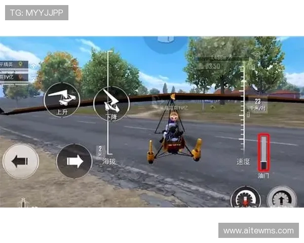 对话赵秀英：探索和平精英职业生涯的成长与挑战