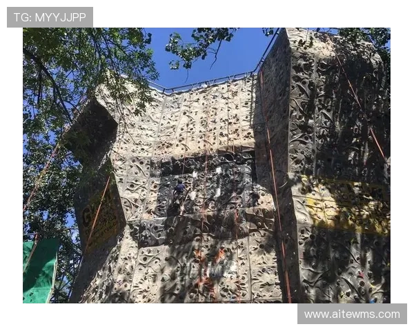 北京攀岩队在世界街舞大赛中的心理素质表现分析与点评