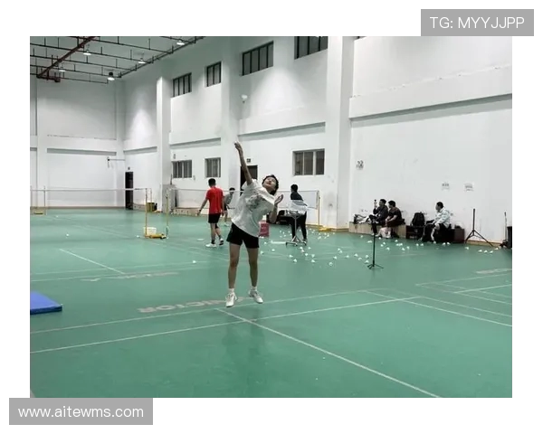 南京羽毛球队在羽毛球节奏排行榜中荣获第六名的佳绩引发热议