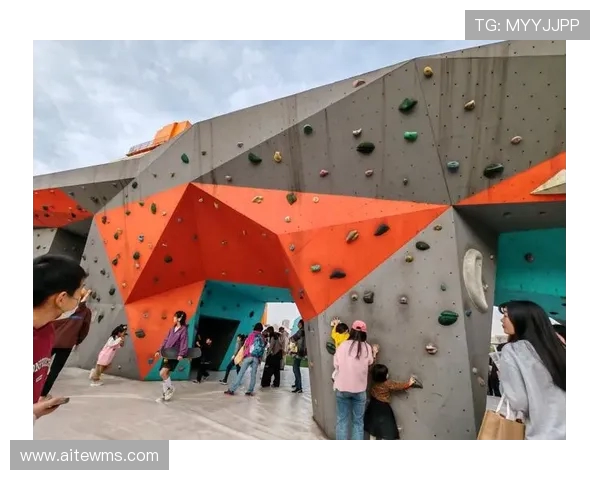 探索上海极限运动队的盯防策略与训练深度揭秘