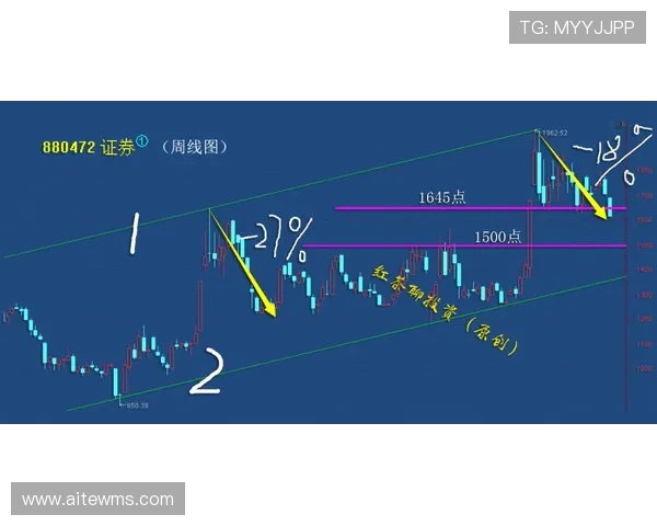 深圳极限运动队的阵地战策略深度分析与战术解读